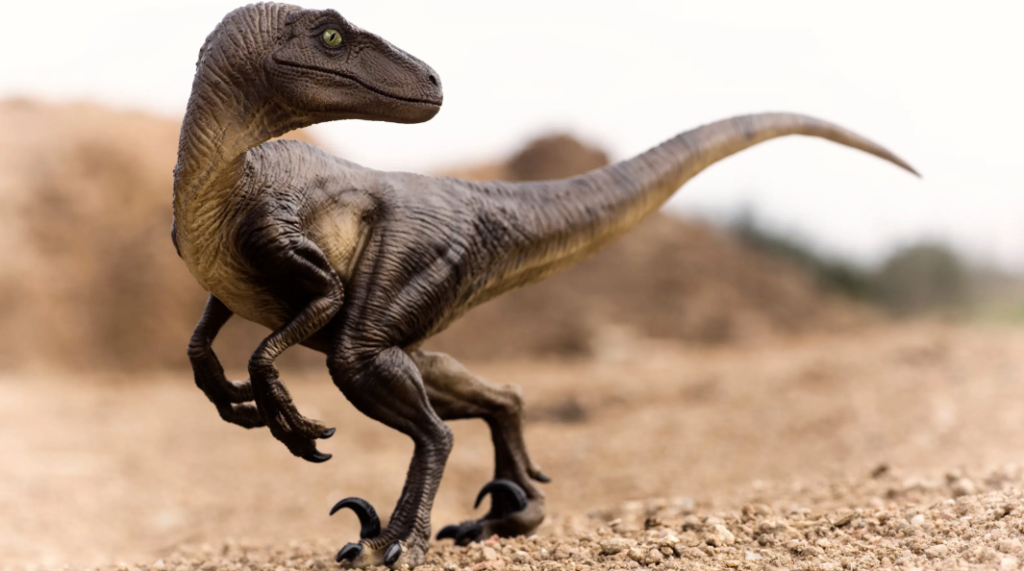 Hewan Purba Velociraptor